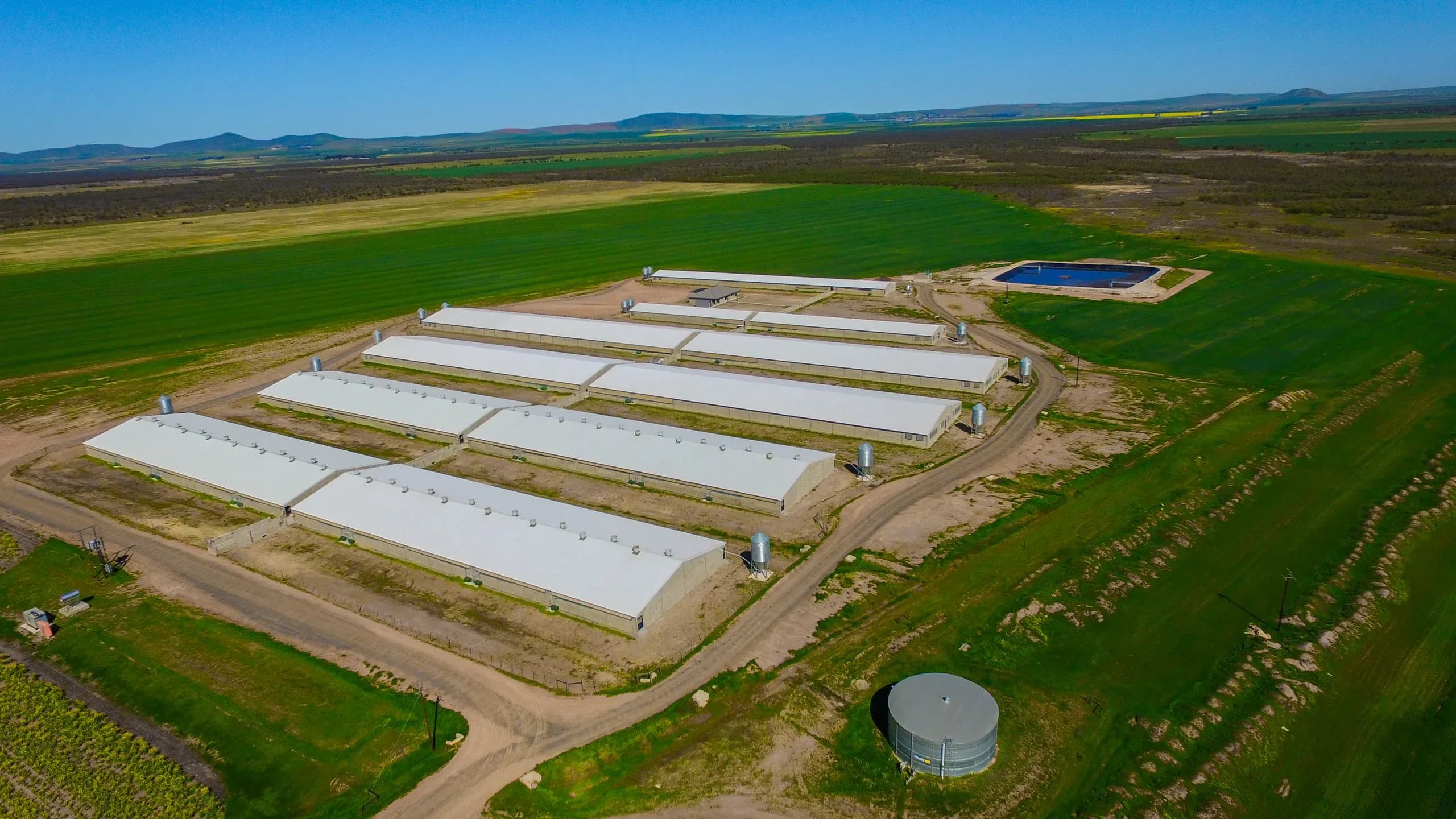 Chalala Pig Farms